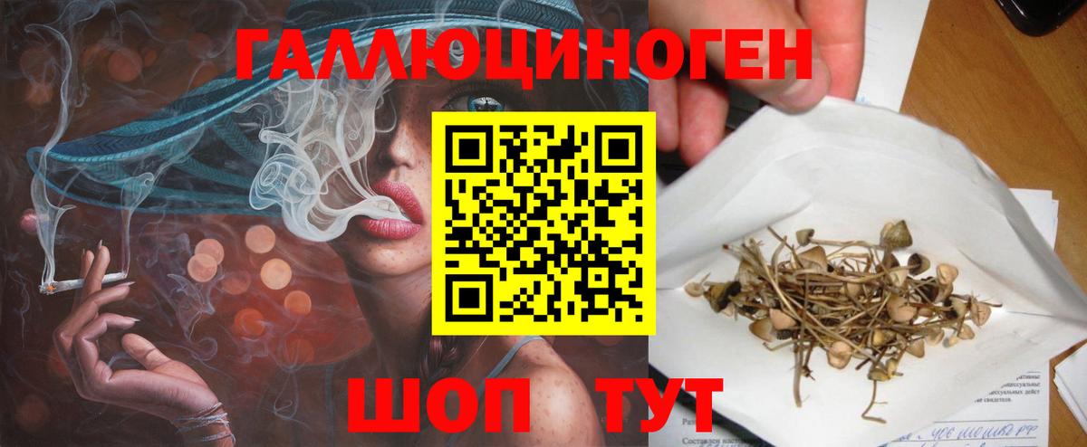 Галлюциногенные грибы Psilocybine cubensis Урай